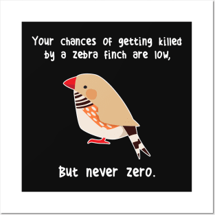 Zebra Finch Never Zero Posters and Art